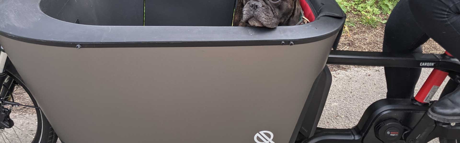 Das Lastenrad von Carqon mit einem Hund in der Box