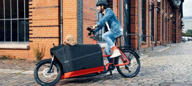 Mann fährt mit Riese & Müller Packster 70 um eine Hausecke, im Lastenkorb sitzt ein Hund
