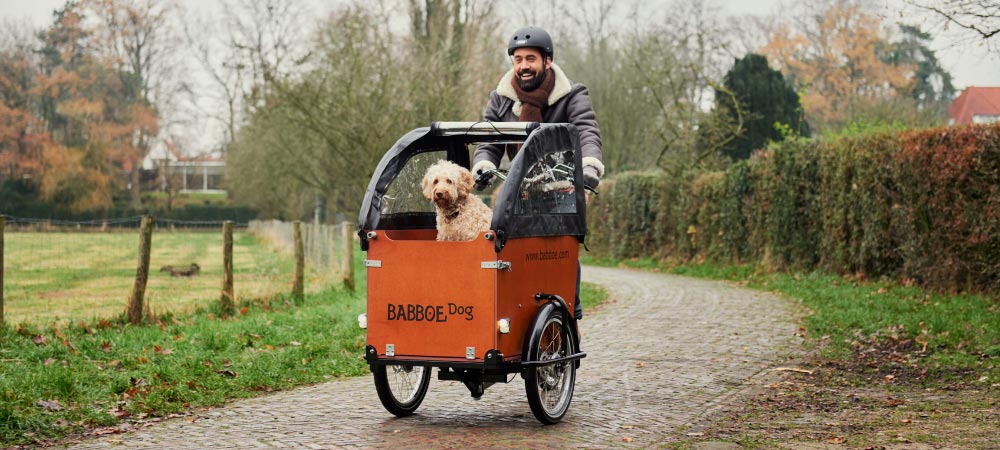 Mann fährt mit seinem Hund mit dem Lasten e-Bike von Babboe