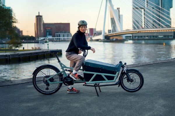 riese mueller load4 60 lasten ebike Sicherheit
