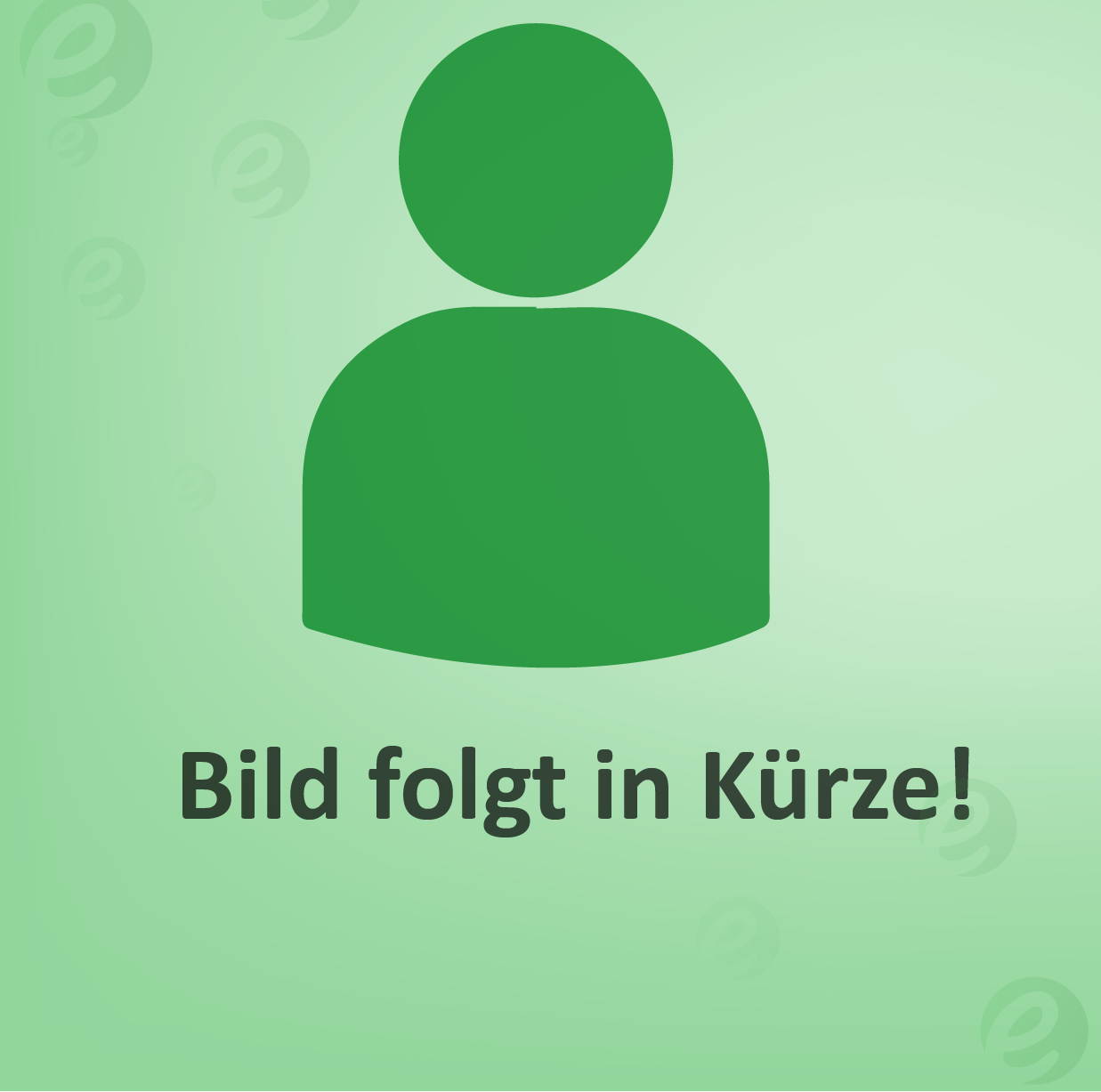 Bild folgt in kuerzeMitarbeiter 6 Gazelle Lastenfahrrad in Düsseldorf